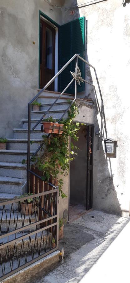 Nicolas House Campiglia dʼOrcia Exteriér fotografie